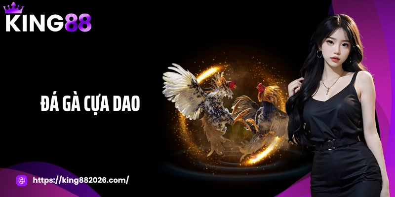 Đá gà cựa dao